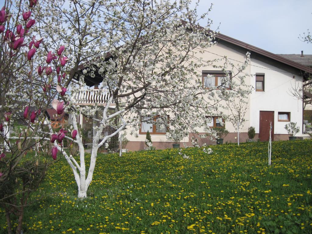 Apartment Yasica Izacic Dış mekan fotoğraf